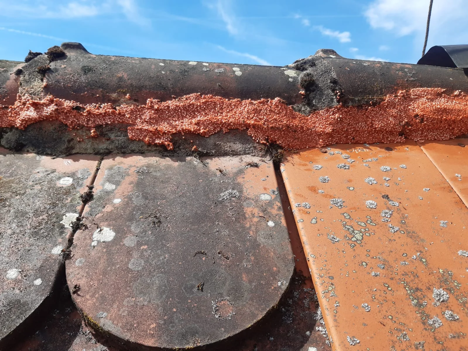 Detail einer geöffneten Dachkante mit Ziegeln und Holz